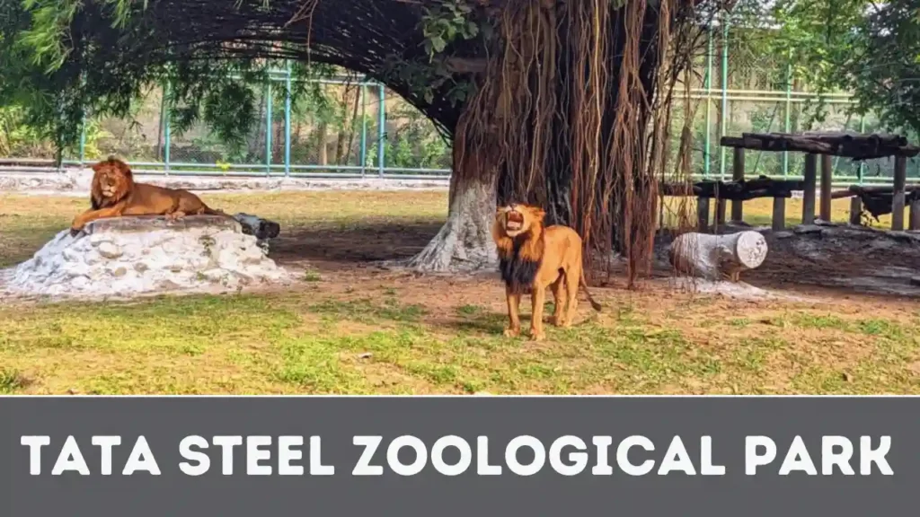 Tata Steel Zoological Park